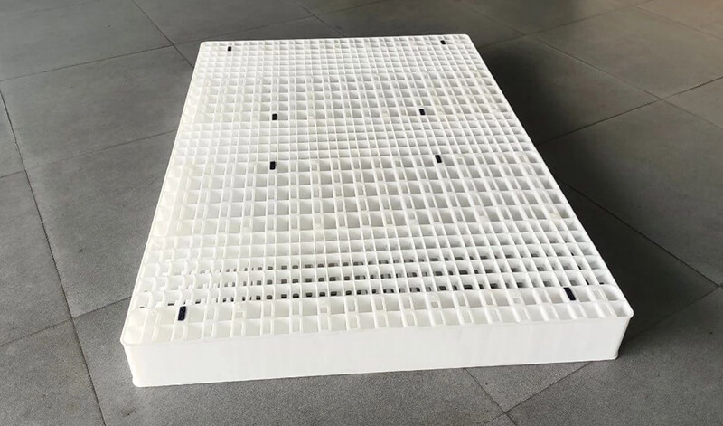 mushroom planting pallets